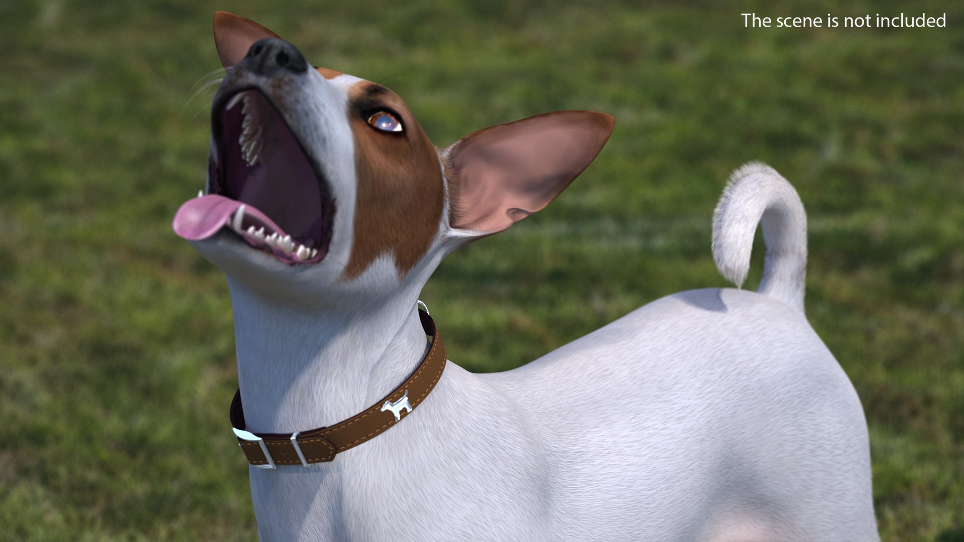 Dog Collars Collection 4 3D model https://p.turbosquid.com/ts-thumb/tT/LDT5NT/HWILM6FV/dogcollar3dmodel001/jpg/1648871502/1920x1080/fit_q87/3275865e03be482d25a9f4b83c251a89c6544e6c/dogcollar3dmodel001.jpg
