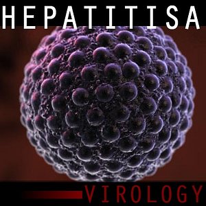 hepatitis virus 3d model
