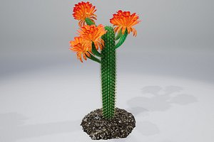 3D cactus pbr