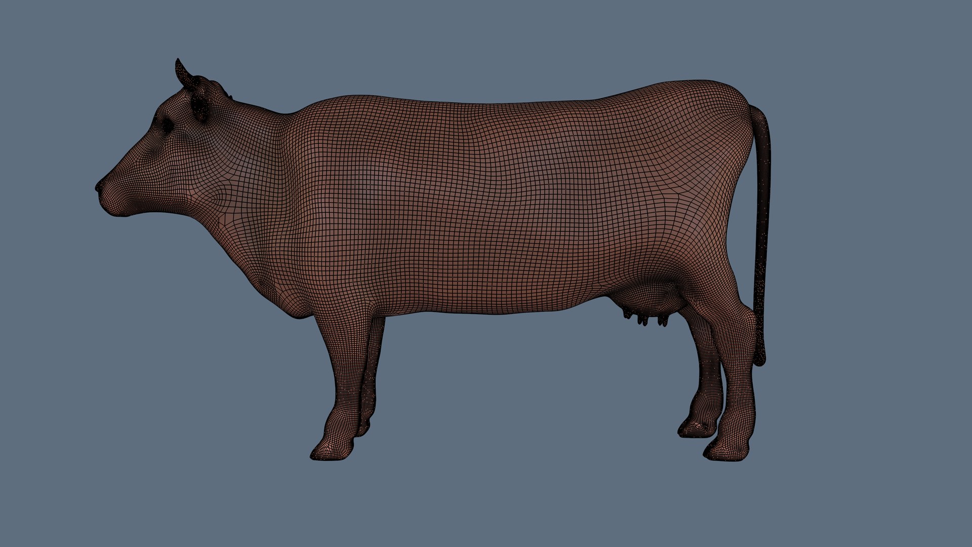Cow 3d Model