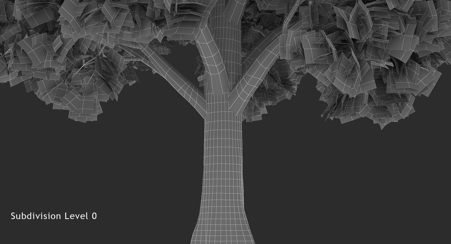 Box Elder Tree 3d Model