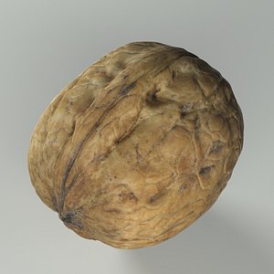 Walnut