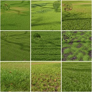3D model 6 Different SETS of Grass SET VOL12