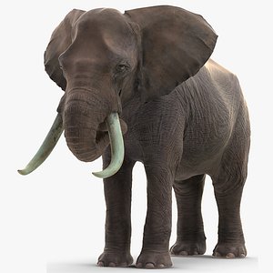 elephant eating mammal animal 3D model
