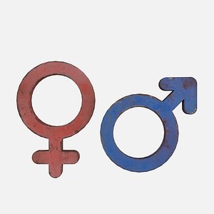 3D Genders symbols Old Metal