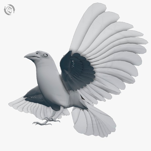 modelo 3d basemesh de aves - TurboSquid 1205209