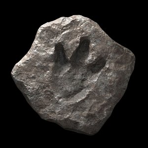 3D dinosaur footprint fossil
