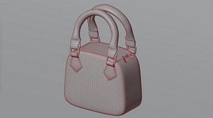 Bag 11 3D