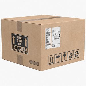 Cardboard Box 4 Closed