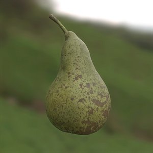 Pear