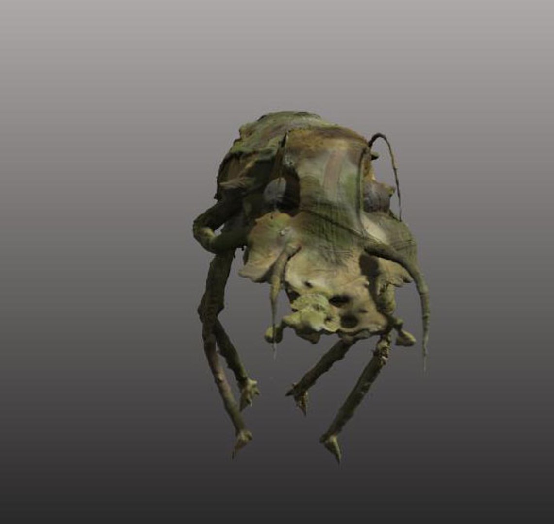 free obj mode 3dcoat https://p.turbosquid.com/ts-thumb/tU/aIiDl0/CiQ4GrMf/000004/jpg/1414428228/1920x1080/fit_q87/c8f4b03bb48613faad090c5ce3b86694431eda2b/000004.jpg