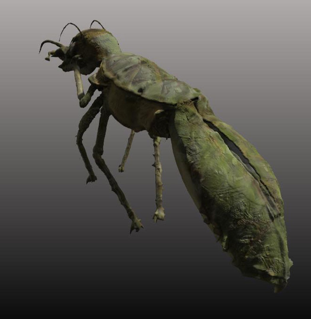 free obj mode 3dcoat https://p.turbosquid.com/ts-thumb/tU/aIiDl0/VwqHcFhJ/000001/jpg/1414428228/1920x1080/fit_q87/5a1c084d8148b801b5fdee84109c9b3b8a38c6f7/000001.jpg