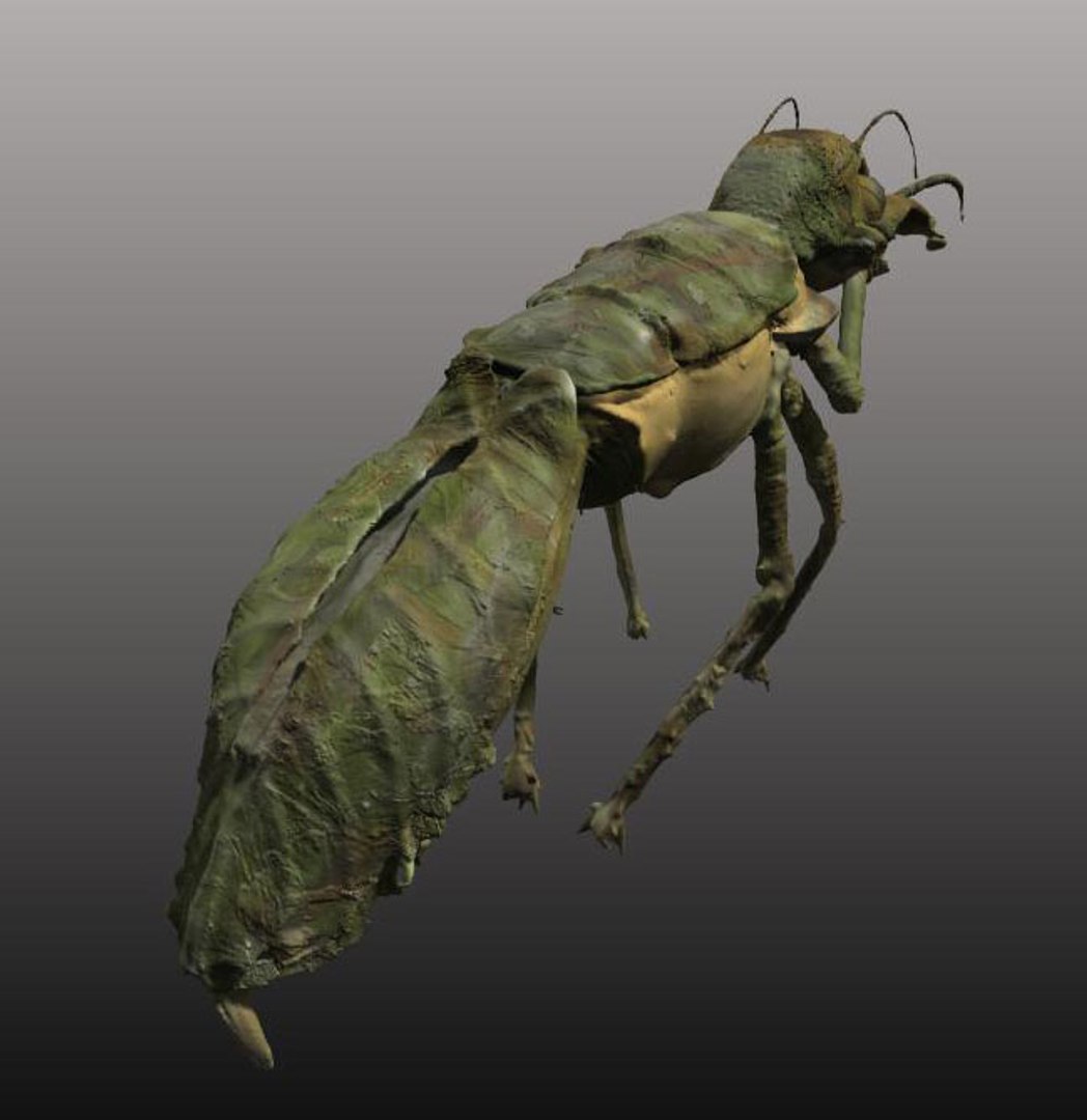 free obj mode 3dcoat https://p.turbosquid.com/ts-thumb/tU/aIiDl0/f7Npvf5N/000002/jpg/1414428228/1920x1080/fit_q87/5904c4f5ea87b81e9fb265e5d6f44dbc262bb4be/000002.jpg