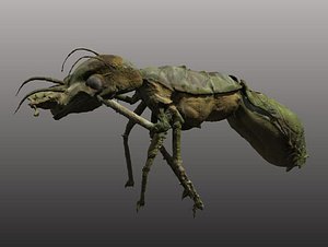 free obj mode 3dcoat