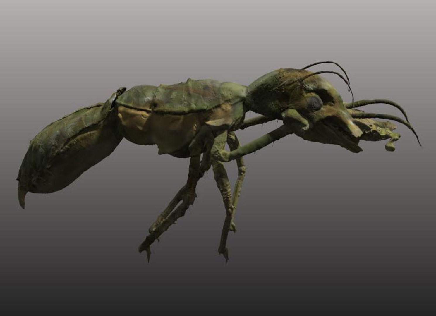 free obj mode 3dcoat https://p.turbosquid.com/ts-thumb/tU/aIiDl0/zlqhBYEM/000003/jpg/1414428228/1920x1080/fit_q87/38bed5bd69475d01903fab0f9b0824c5f85b9de4/000003.jpg