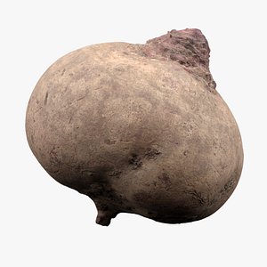 Beetroot 3D