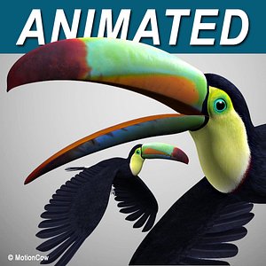 Toucan B - Flight