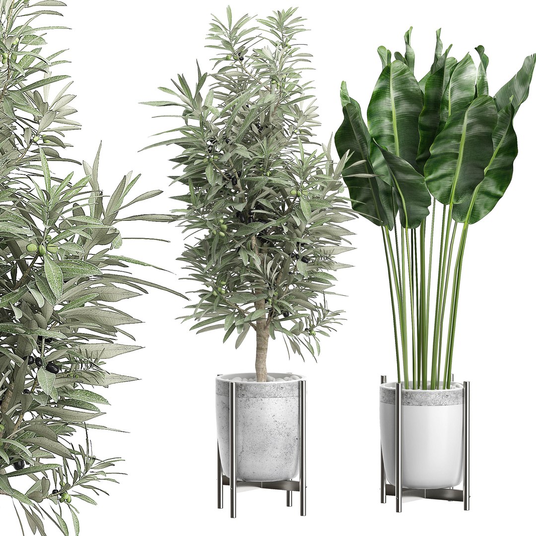 3D Potted Plants 65 - TurboSquid 1566129