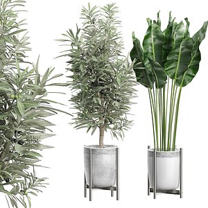 3D potted plants 65