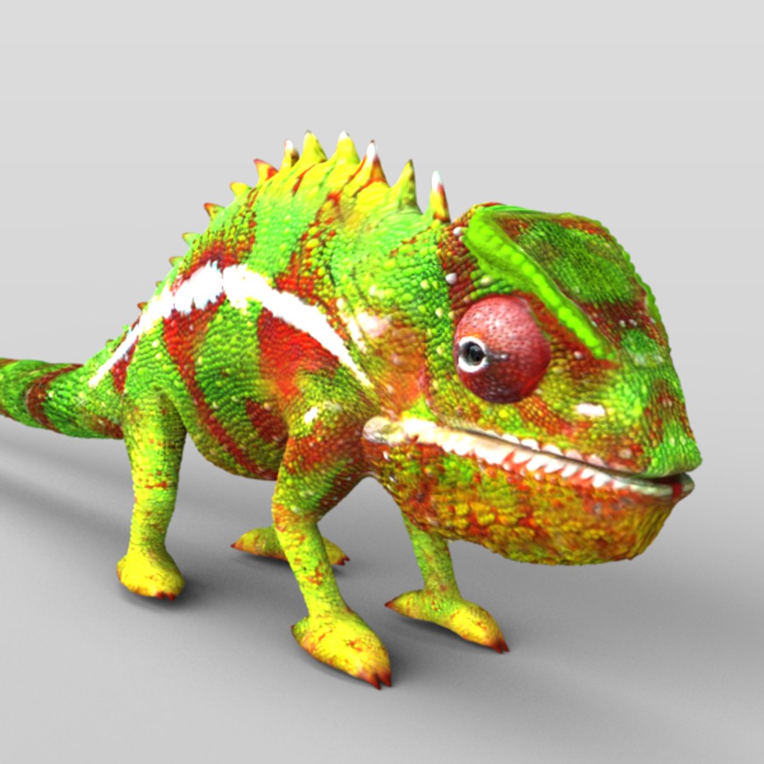 chameleon lizards 3d c4d