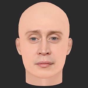 3D Low Poly Macaulay Culkin Head model