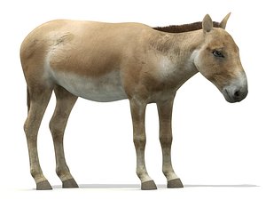 donkey blender 3d model