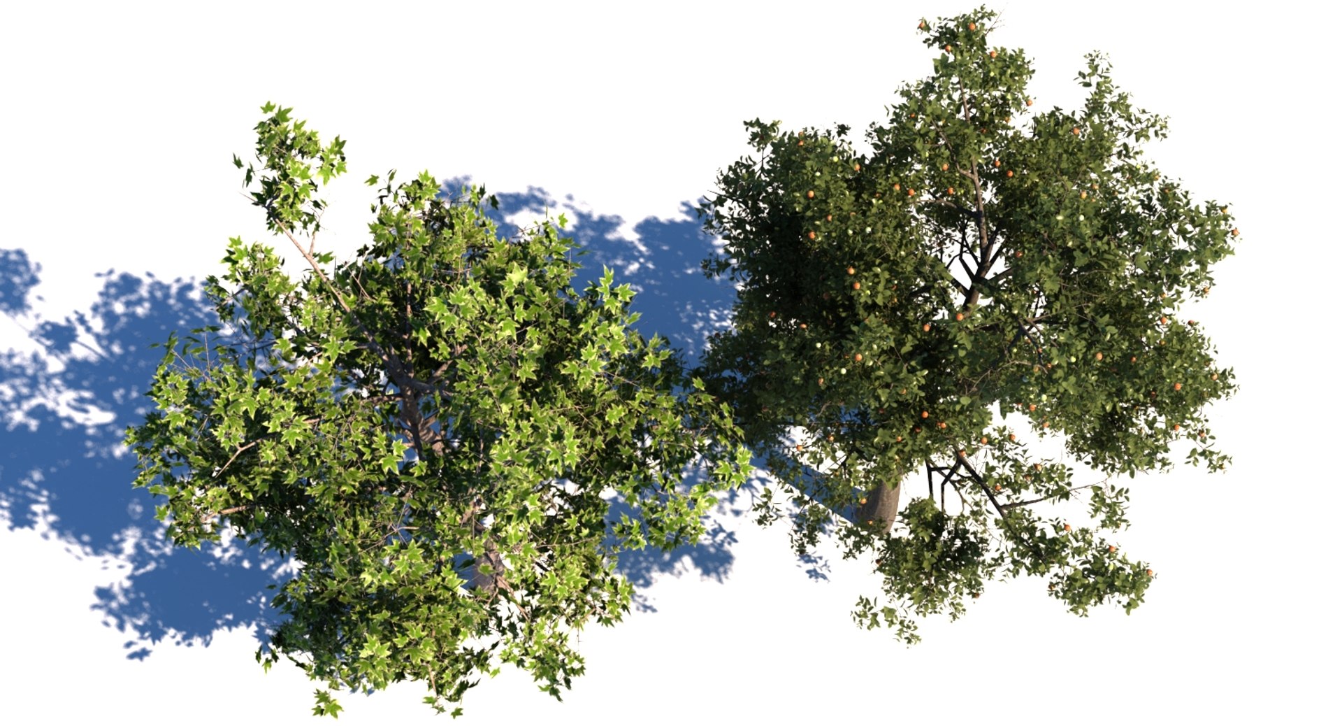 3D Generic Trees - TurboSquid 1378531