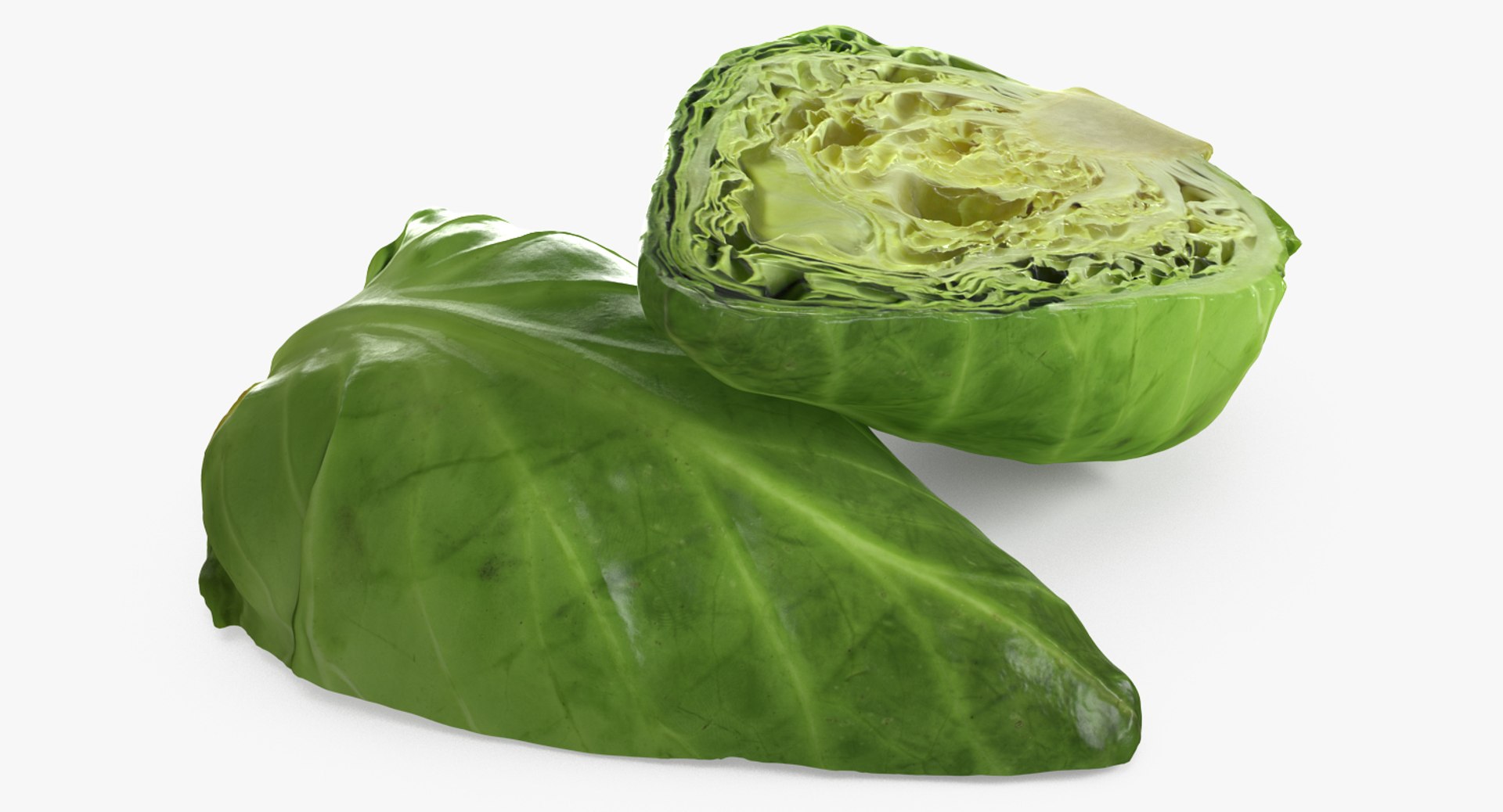 3D Salad Greens Collection 4 model https://p.turbosquid.com/ts-thumb/tV/HDUjp3/0Q/saladgreenscollection43dsmodel064/jpg/1660084461/1920x1080/fit_q87/11617d18197ddb95ab32e28b6a9f7455381bf9fc/saladgreenscollection43dsmodel064.jpg