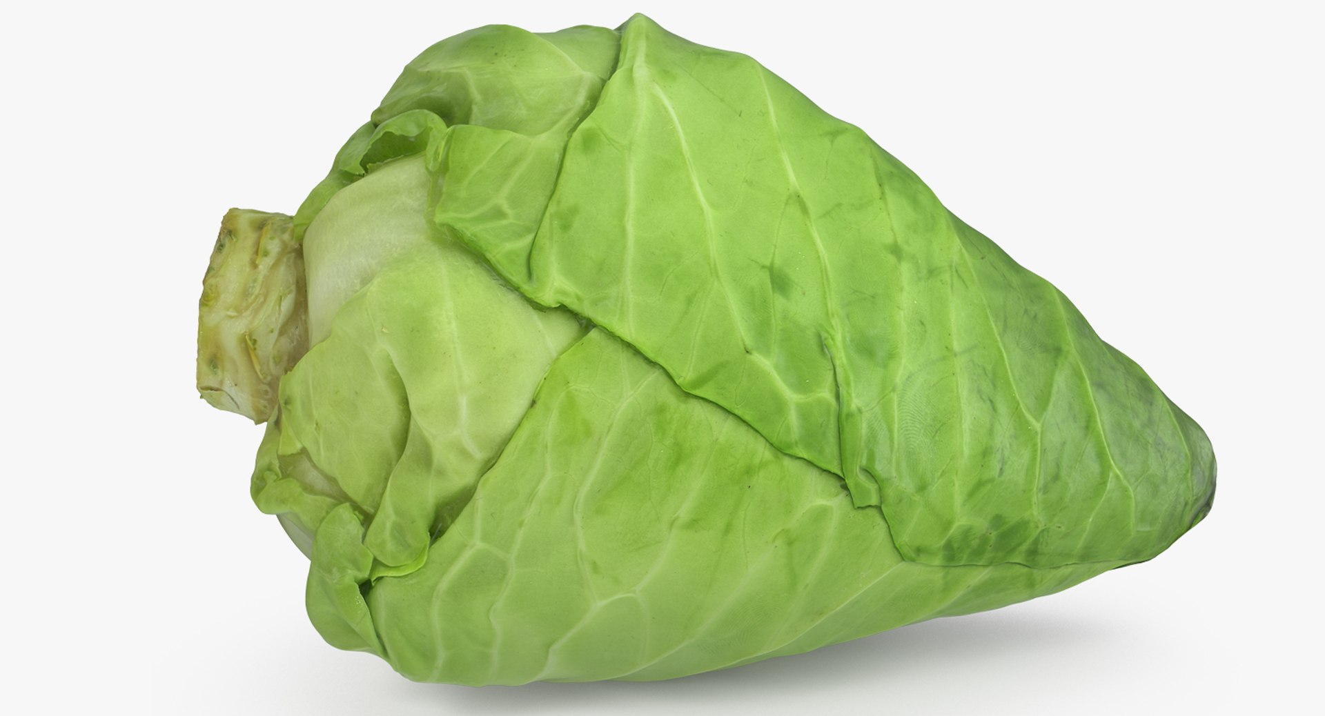 3D Salad Greens Collection 4 model https://p.turbosquid.com/ts-thumb/tV/HDUjp3/3y/saladgreenscollection43dsmodel060/jpg/1660084449/1920x1080/fit_q87/87eeec52cfd972fe1942feba761d6f81b6501202/saladgreenscollection43dsmodel060.jpg