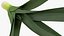 3D Salad Greens Collection 4 model