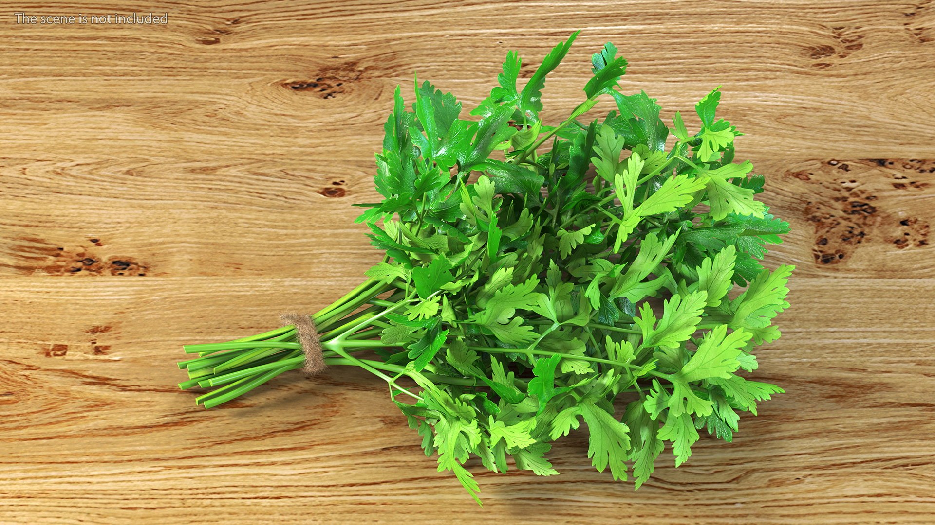 3D Salad Greens Collection 4 model https://p.turbosquid.com/ts-thumb/tV/HDUjp3/4i/saladgreenscollection43dsmodel031/jpg/1660084364/1920x1080/fit_q87/23e5b637e68c3fa7dac7a7e17ea2b88dae7ca352/saladgreenscollection43dsmodel031.jpg