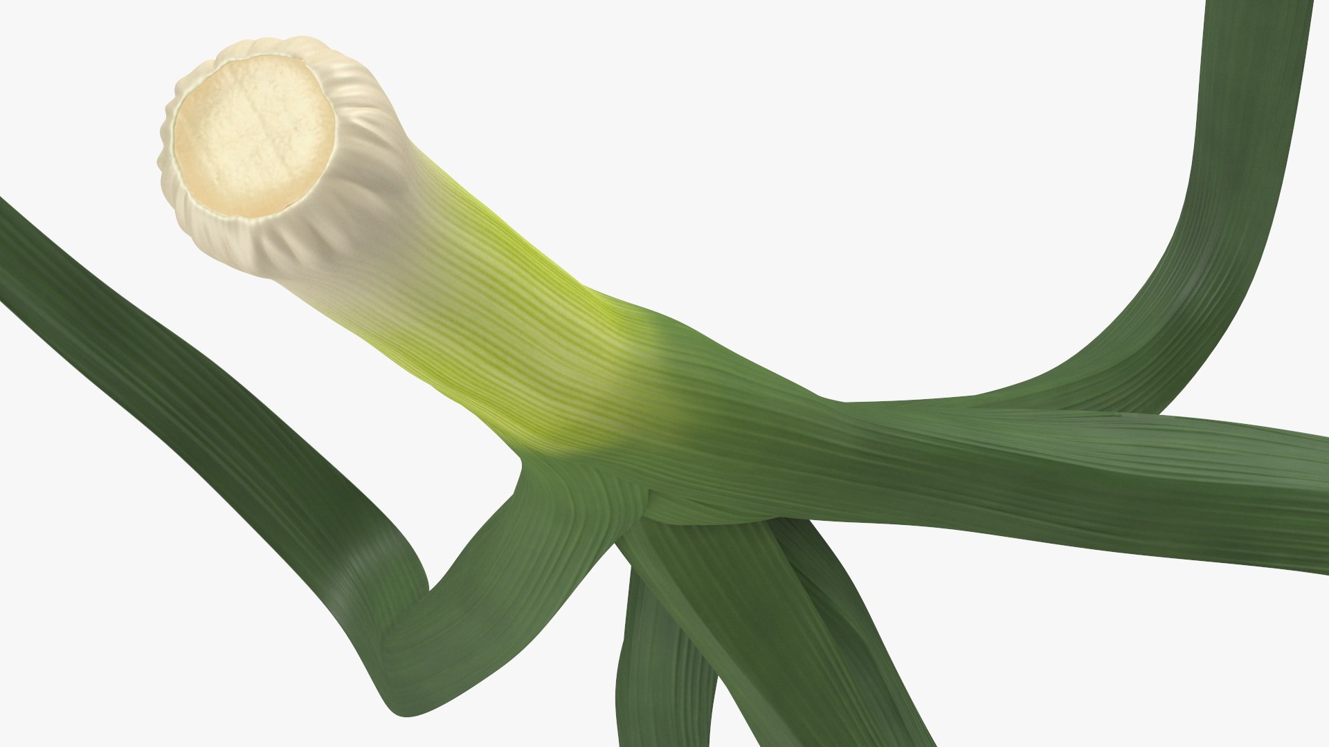 3D Salad Greens Collection 4 model https://p.turbosquid.com/ts-thumb/tV/HDUjp3/7W/saladgreenscollection43dsmodel029/jpg/1660084358/1920x1080/fit_q87/33bc10d94f17e747e227e663ddce3ea30b0c23dc/saladgreenscollection43dsmodel029.jpg