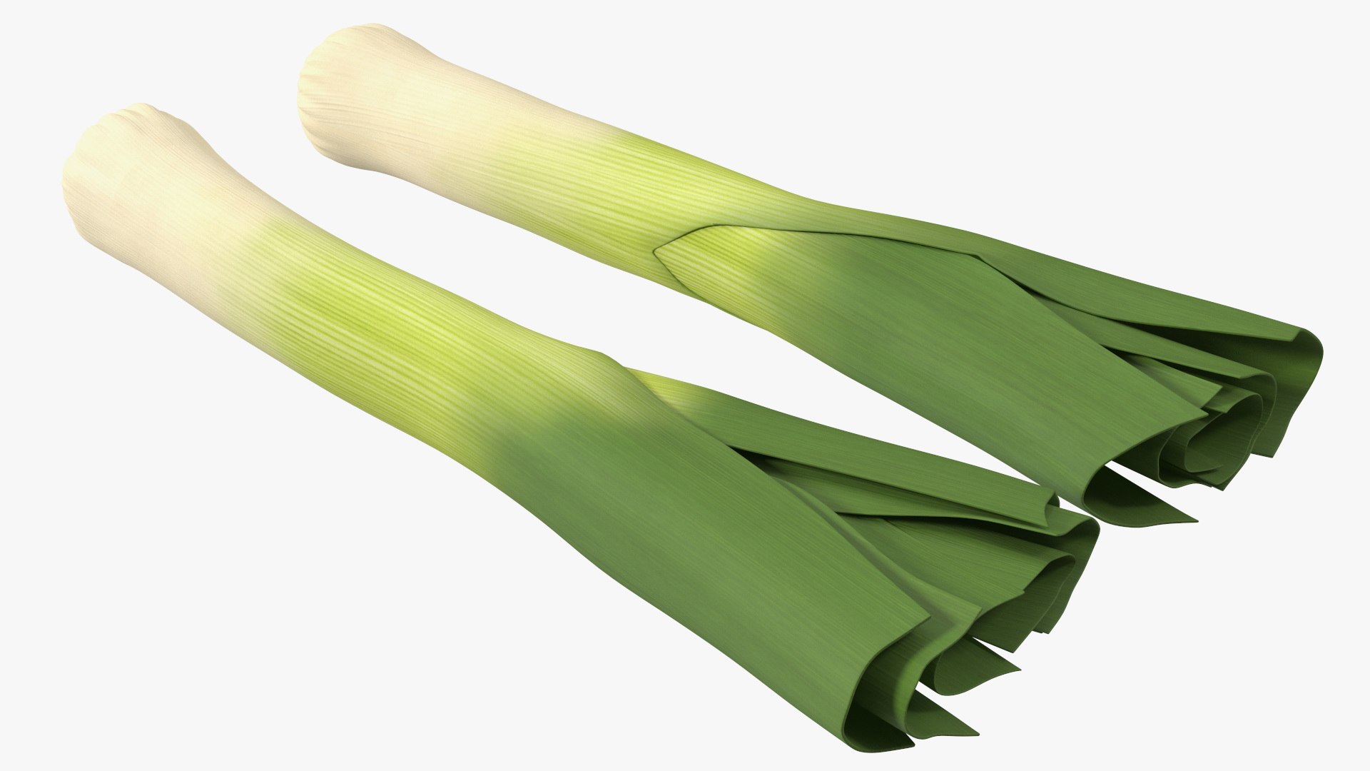 3D Salad Greens Collection 4 model https://p.turbosquid.com/ts-thumb/tV/HDUjp3/8p/saladgreenscollection43dsmodel049/jpg/1660084417/1920x1080/fit_q87/213ec4f1b500b91c75e9f17e8059e8e31ec3d0f4/saladgreenscollection43dsmodel049.jpg