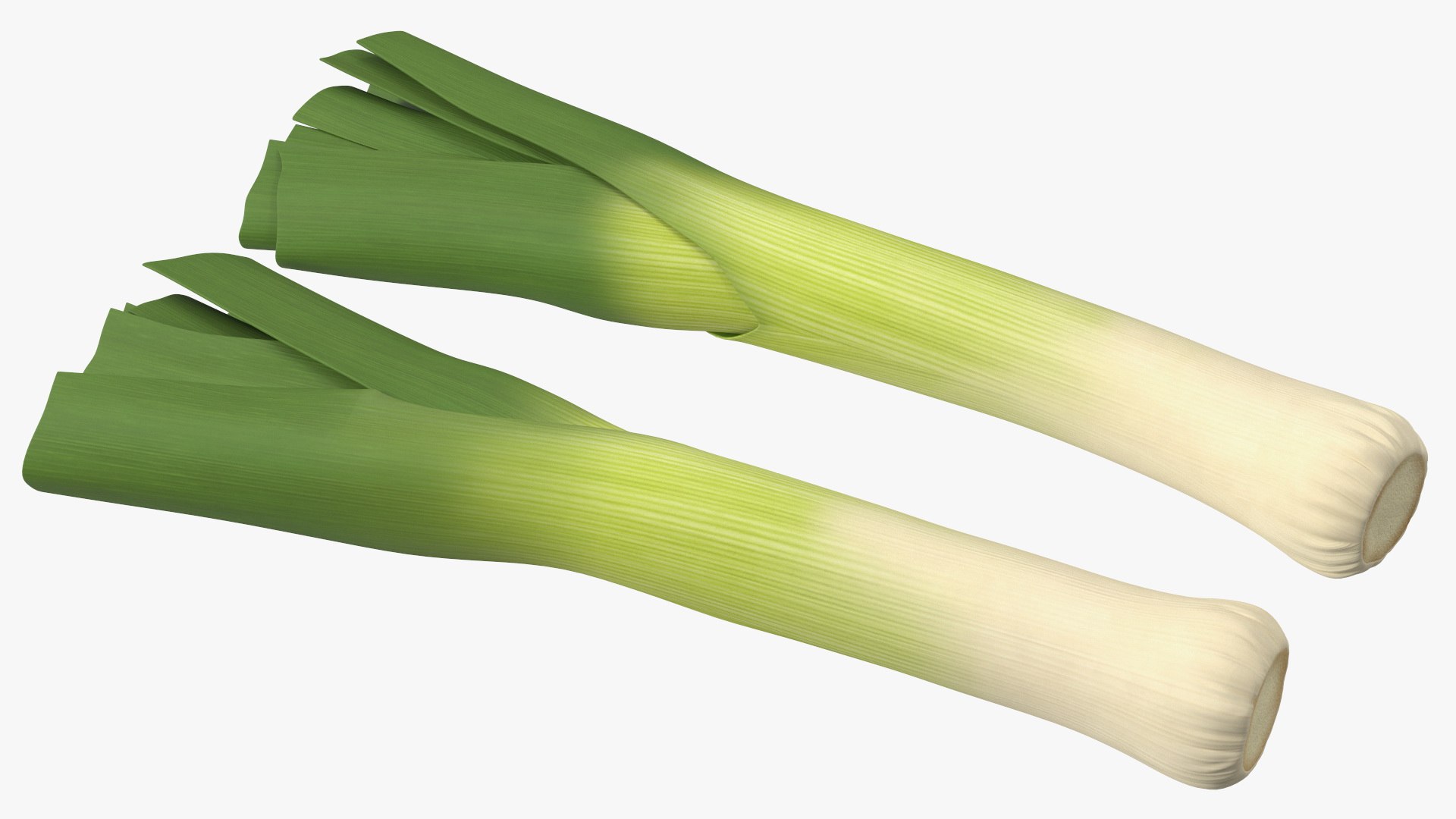 3D Salad Greens Collection 4 model https://p.turbosquid.com/ts-thumb/tV/HDUjp3/9Q/saladgreenscollection43dsmodel048/jpg/1660084414/1920x1080/fit_q87/78614da88f9e58aec7ba9f75ca0aead6c9456703/saladgreenscollection43dsmodel048.jpg