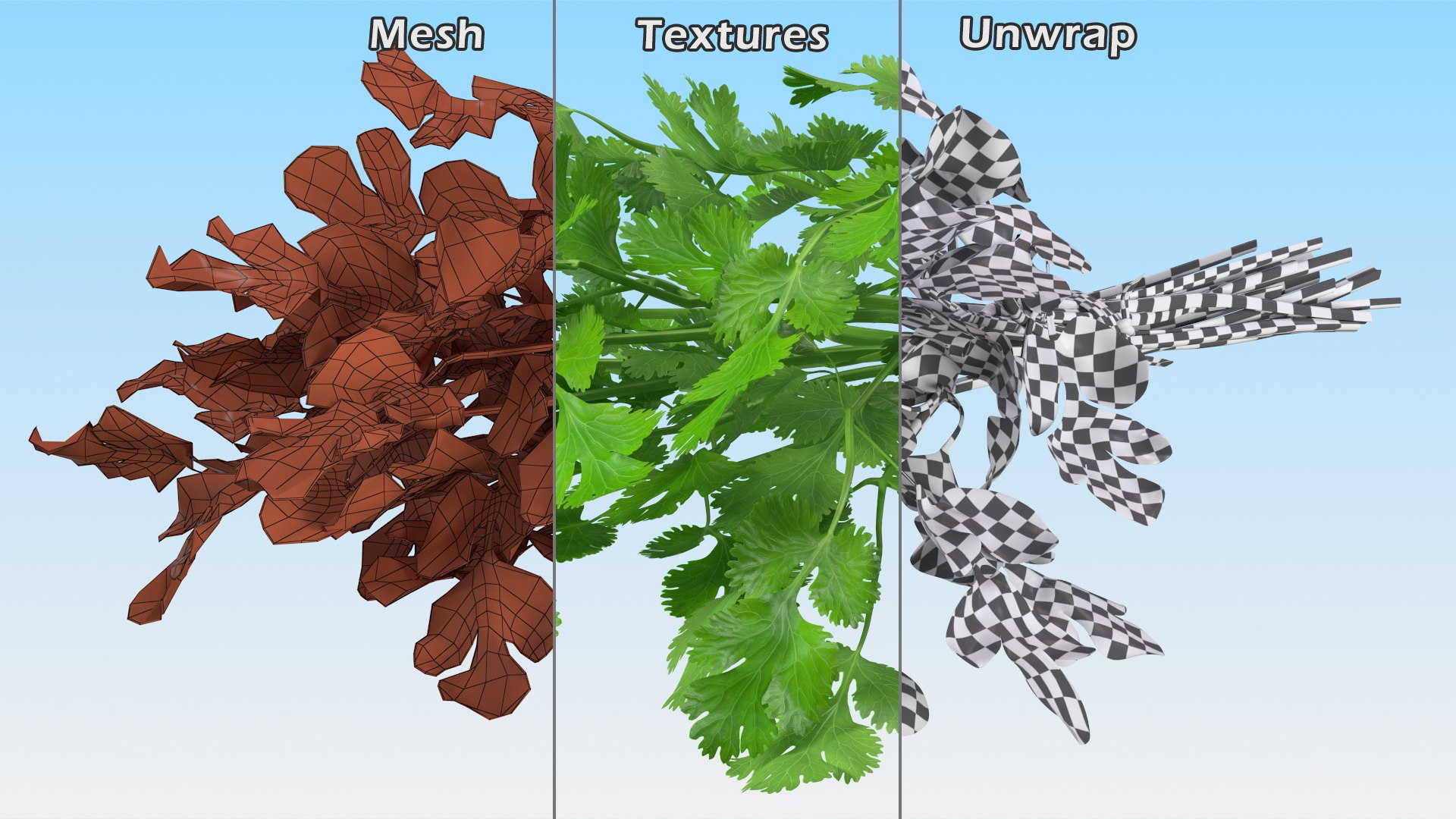 3D Salad Greens Collection 4 model https://p.turbosquid.com/ts-thumb/tV/HDUjp3/9Z/saladgreenscollection43dsmodel009/jpg/1660084297/1920x1080/fit_q87/d5473bafb2a23ff025593e2c8e1e905843d255b9/saladgreenscollection43dsmodel009.jpg