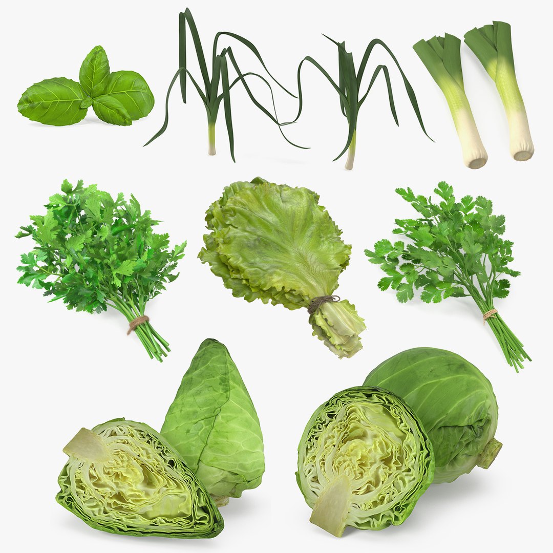 3D Salad Greens Collection 4 model https://p.turbosquid.com/ts-thumb/tV/HDUjp3/Ad/saladgreenscollection43dsmodel000/jpg/1660084269/1920x1080/fit_q87/380d3dd6731f8fdc478db11ad71b4b1639e48513/saladgreenscollection43dsmodel000.jpg