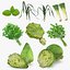 3D Salad Greens Collection 4 model