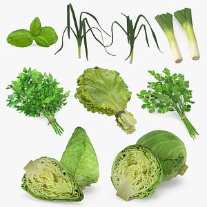 Salad Greens Collection 4