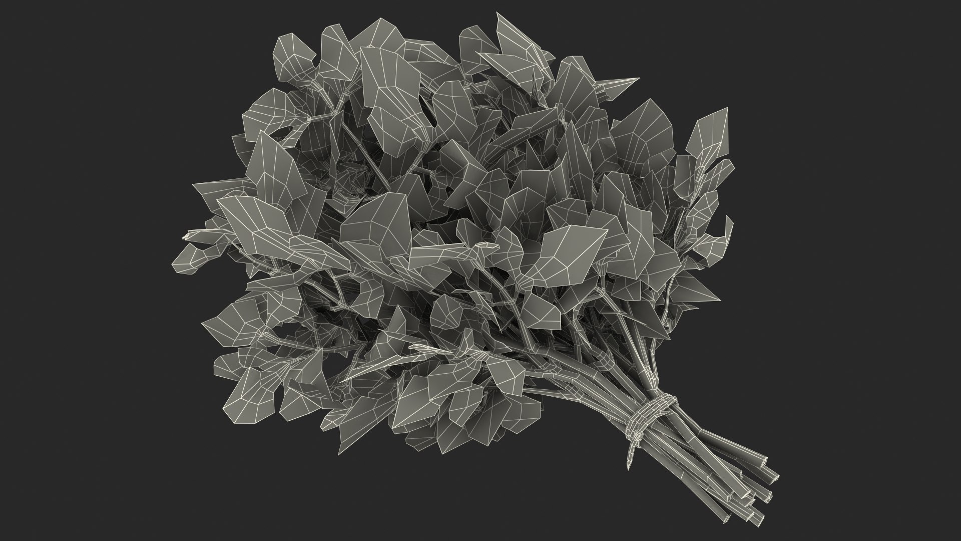 3D Salad Greens Collection 4 model https://p.turbosquid.com/ts-thumb/tV/HDUjp3/D9/saladgreenscollection43dsmodel077/jpg/1660084501/1920x1080/fit_q87/228619f96db06352fe98638875faaf99596e008e/saladgreenscollection43dsmodel077.jpg