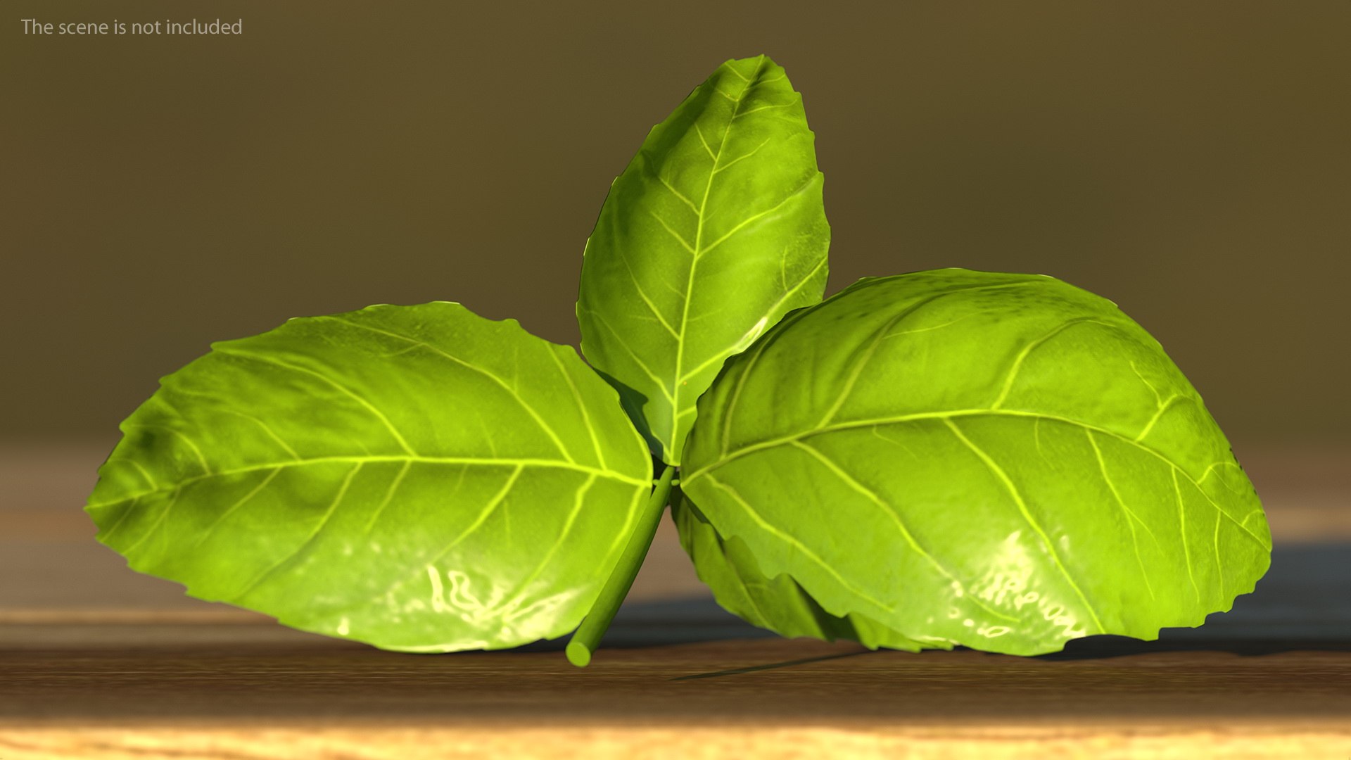 3D Salad Greens Collection 4 model https://p.turbosquid.com/ts-thumb/tV/HDUjp3/Eq/saladgreenscollection43dsmodel053/jpg/1660084429/1920x1080/fit_q87/38ec79ec9a86b492f08ce5865e3ce01d07864b61/saladgreenscollection43dsmodel053.jpg