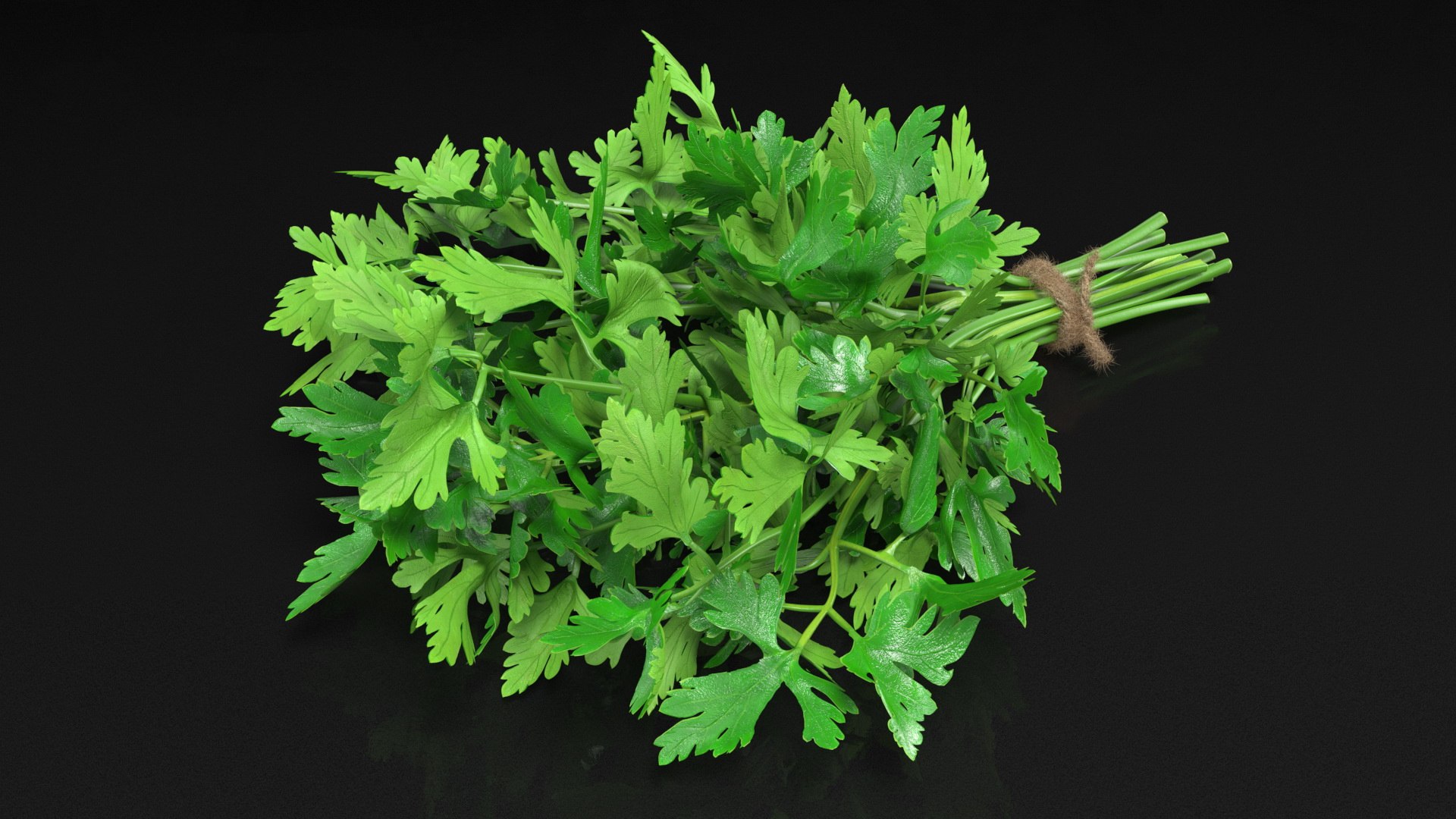 3D Salad Greens Collection 4 model https://p.turbosquid.com/ts-thumb/tV/HDUjp3/KB/saladgreenscollection43dsmodel035/jpg/1660084376/1920x1080/fit_q87/e9f6ab78c52469db3026c0bc0451fe18f3faa29c/saladgreenscollection43dsmodel035.jpg