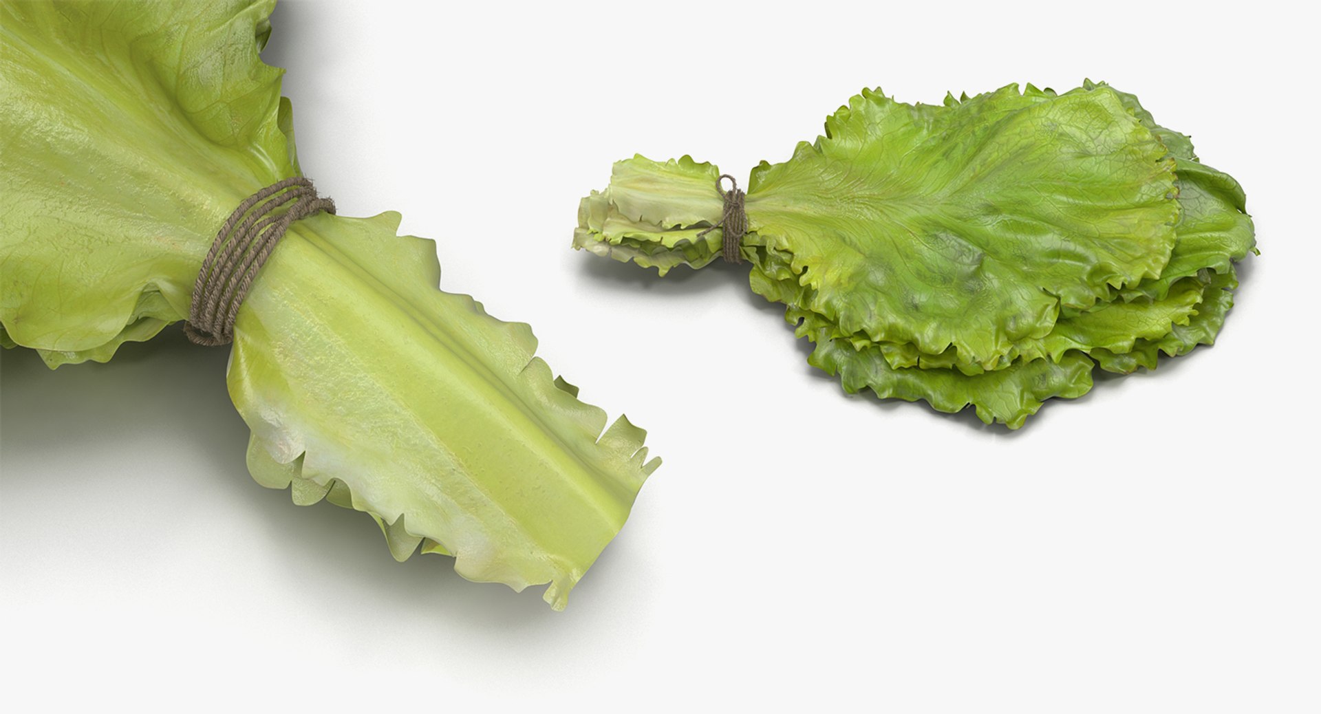 3D Salad Greens Collection 4 model https://p.turbosquid.com/ts-thumb/tV/HDUjp3/KM/saladgreenscollection43dsmodel074/jpg/1660084491/1920x1080/fit_q87/82d2dae0c89078e03ab7ac3e0b30598b047fd4d3/saladgreenscollection43dsmodel074.jpg