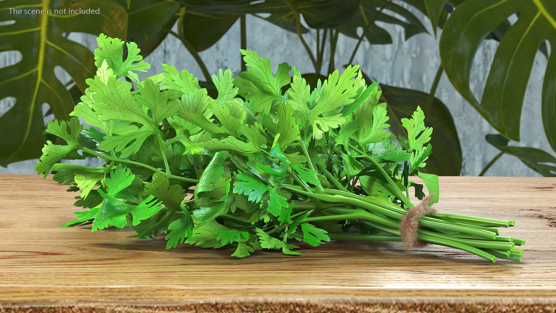 3D Salad Greens Collection 4 model https://p.turbosquid.com/ts-thumb/tV/HDUjp3/Lp/saladgreenscollection43dsmodel032/jpg/1660084367/1920x1080/fit_q87/73f595de8b55534ebf4c5297e5ced806dd1c981c/saladgreenscollection43dsmodel032.jpg