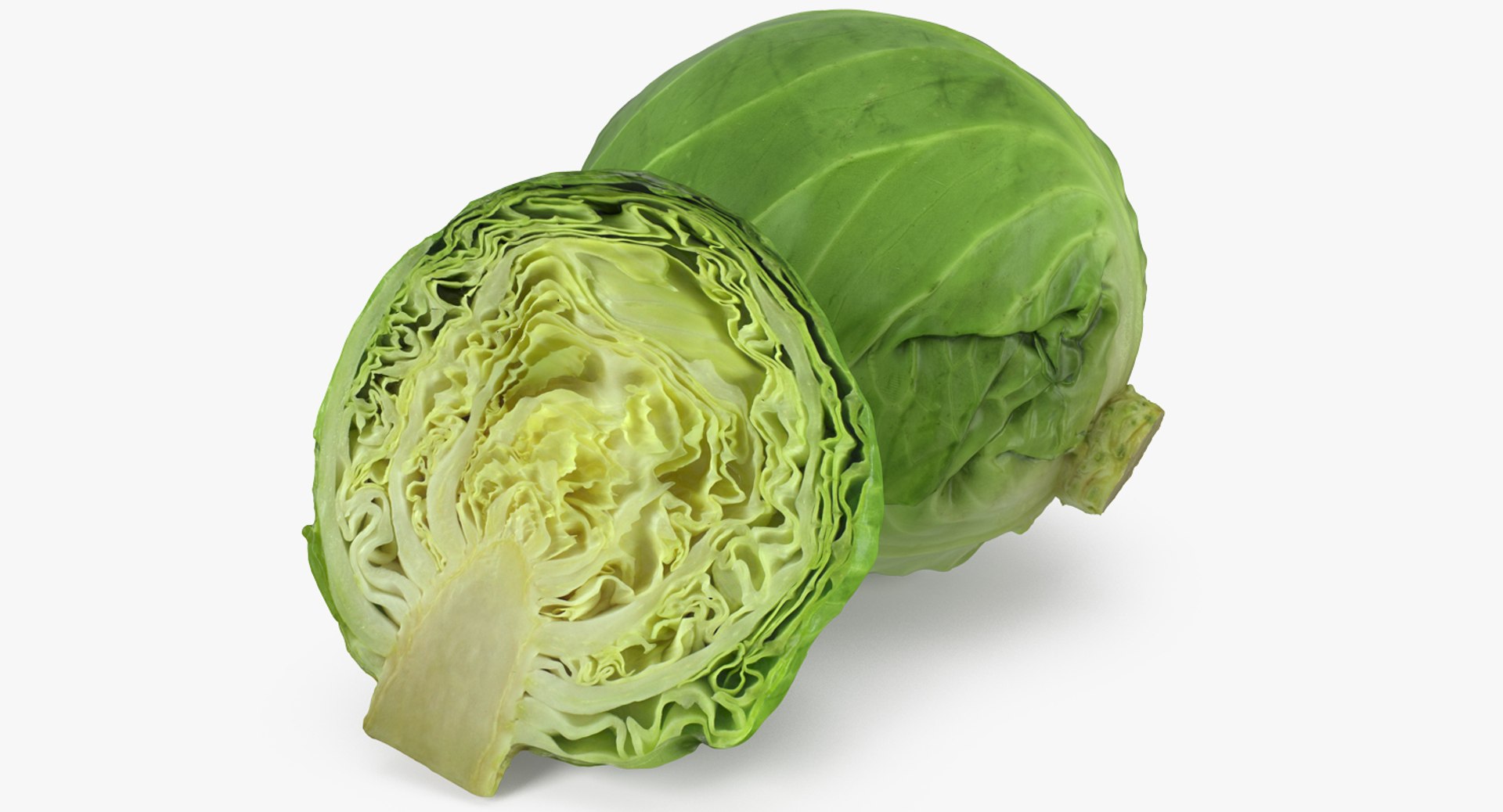3D Salad Greens Collection 4 model https://p.turbosquid.com/ts-thumb/tV/HDUjp3/NK/saladgreenscollection43dsmodel066/jpg/1660084467/1920x1080/fit_q87/6fc09f810aaadd619b021760e38f2e9a7633c8d6/saladgreenscollection43dsmodel066.jpg