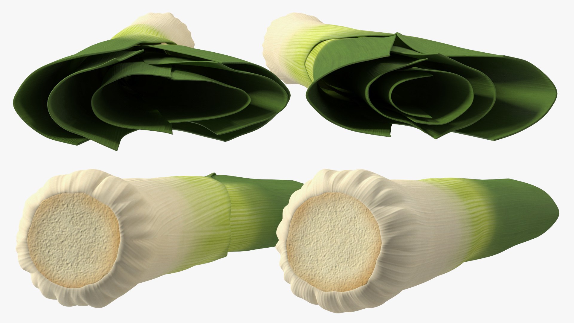 3D Salad Greens Collection 4 model https://p.turbosquid.com/ts-thumb/tV/HDUjp3/O5/saladgreenscollection43dsmodel050/jpg/1660084420/1920x1080/fit_q87/4e8ea48ab4fa40ecfc03b0a536618ae1deb394d0/saladgreenscollection43dsmodel050.jpg