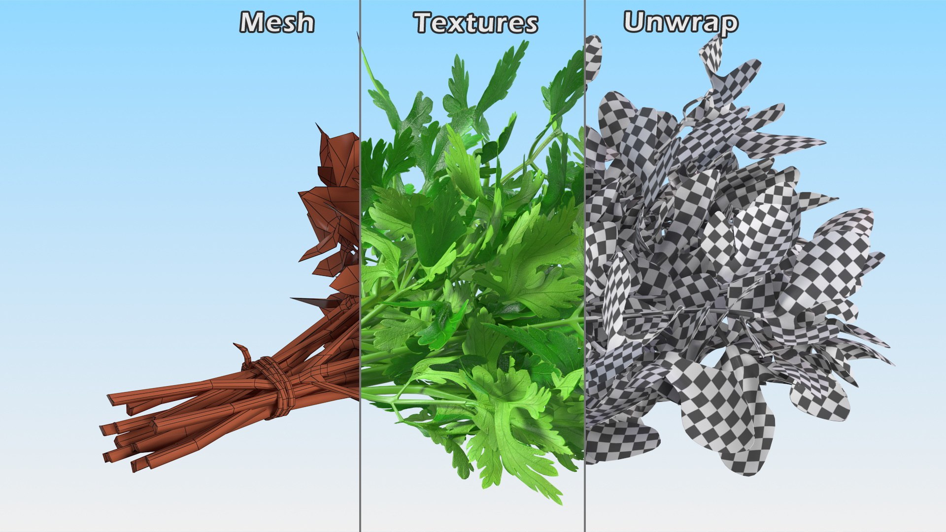 3D Salad Greens Collection 4 model https://p.turbosquid.com/ts-thumb/tV/HDUjp3/R5/saladgreenscollection43dsmodel036/jpg/1660084379/1920x1080/fit_q87/be609f207f216c1ab5df69a380d01513bce8c324/saladgreenscollection43dsmodel036.jpg