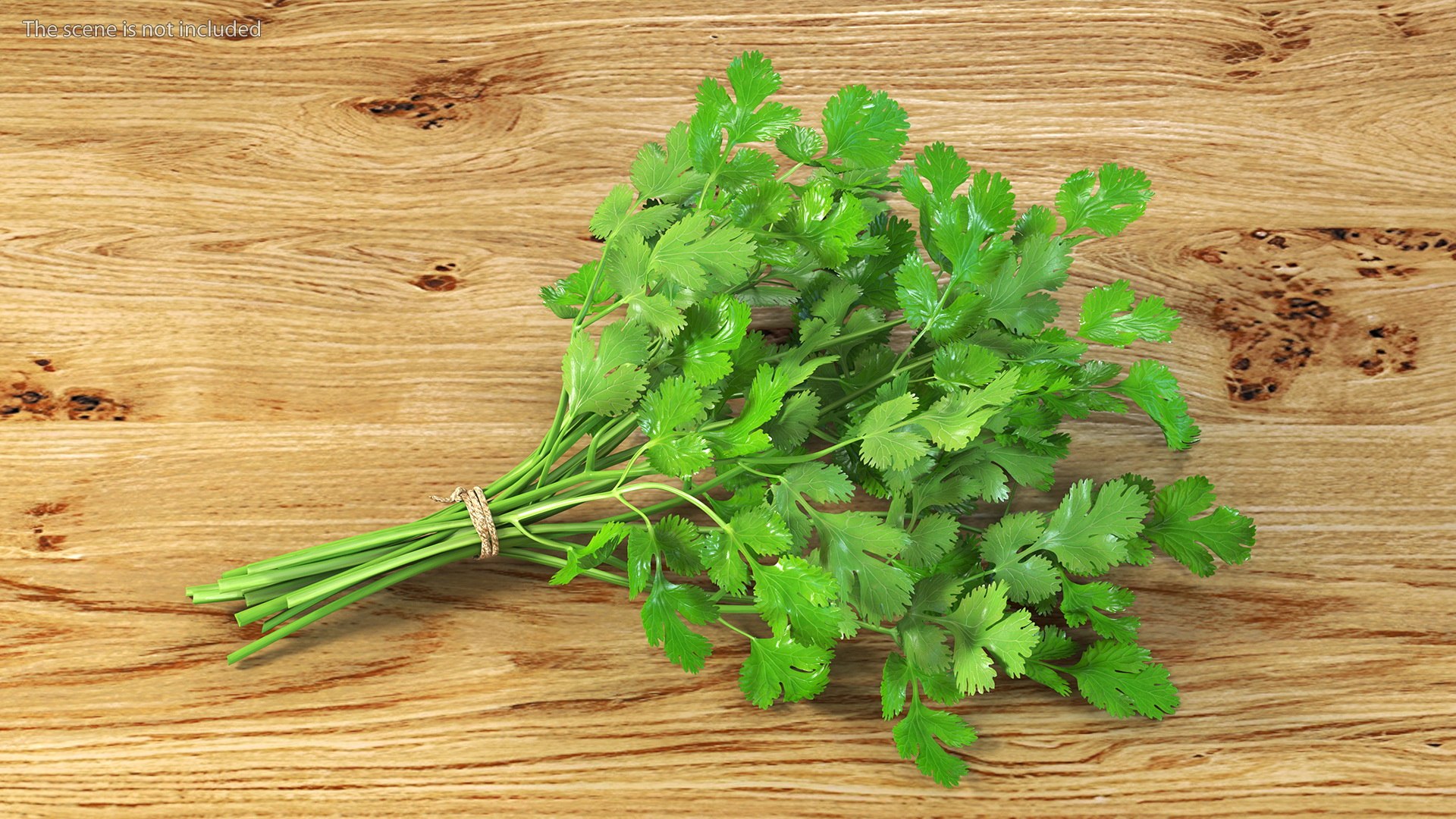 3D Salad Greens Collection 4 model https://p.turbosquid.com/ts-thumb/tV/HDUjp3/RW/saladgreenscollection43dsmodel004/jpg/1660084282/1920x1080/fit_q87/608fb7d23cb4b03152865f66f180bf97f372019f/saladgreenscollection43dsmodel004.jpg