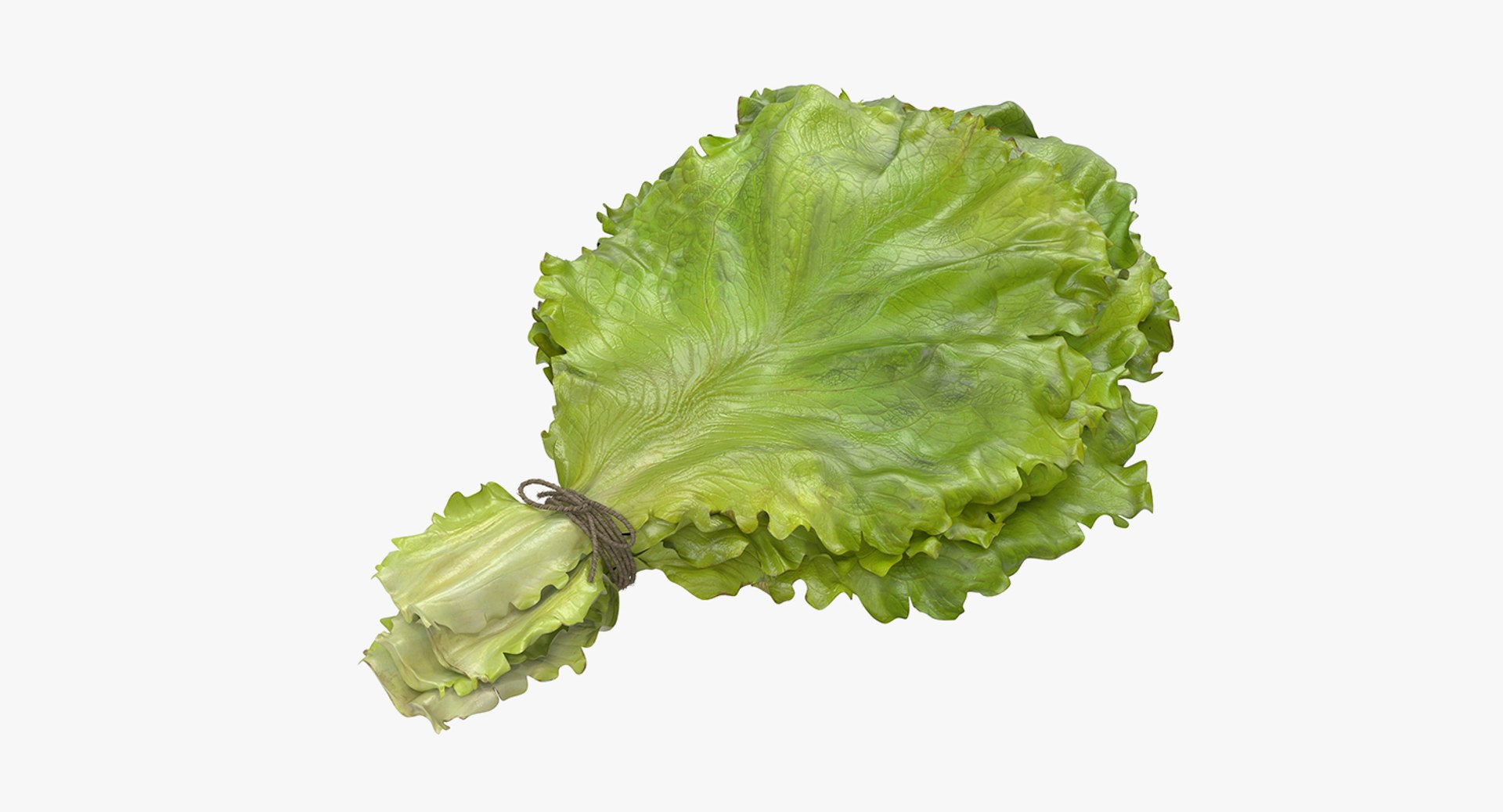 3D Salad Greens Collection 4 model https://p.turbosquid.com/ts-thumb/tV/HDUjp3/TL/saladgreenscollection43dsmodel072/jpg/1660084485/1920x1080/fit_q87/920f1a45493b4f6d28d8927a86ed390d9cf5b9ea/saladgreenscollection43dsmodel072.jpg