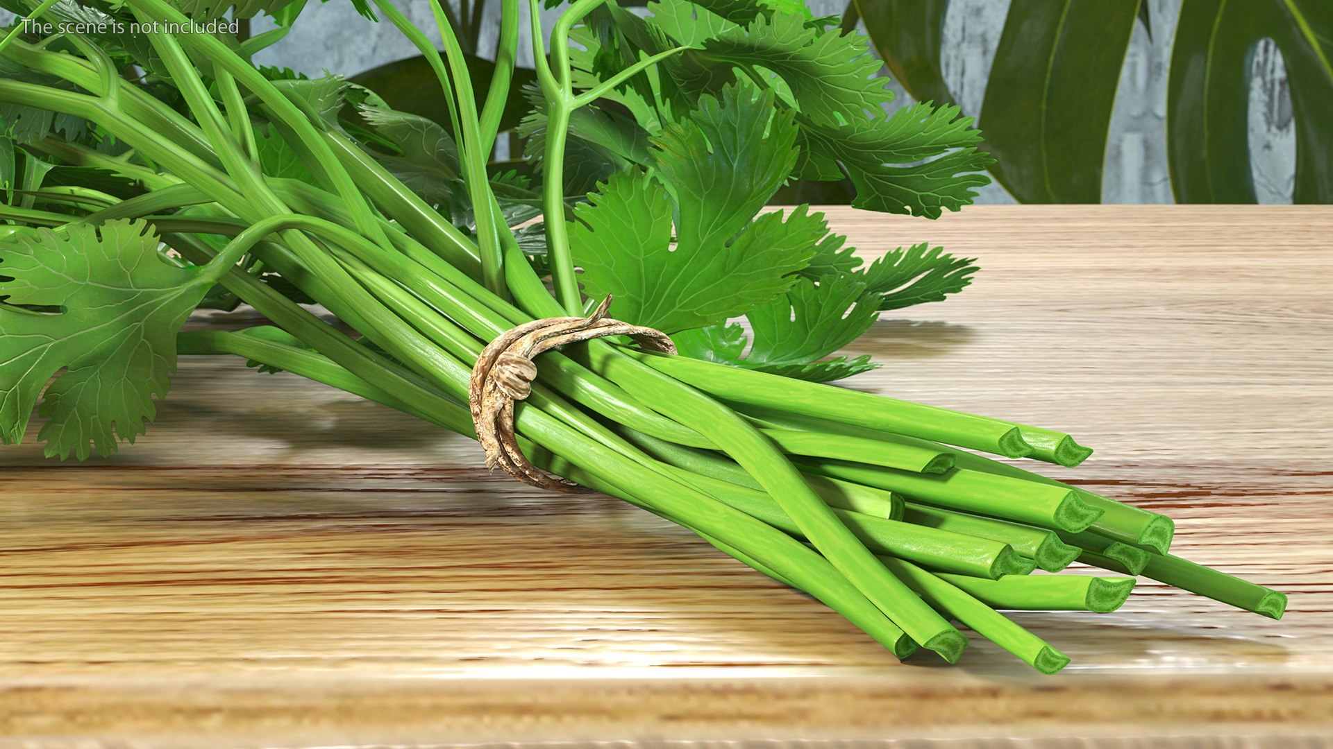 3D Salad Greens Collection 4 model https://p.turbosquid.com/ts-thumb/tV/HDUjp3/Tb/saladgreenscollection43dsmodel005/jpg/1660084285/1920x1080/fit_q87/c960c9c05354cd3c5e410e604ae021071096a048/saladgreenscollection43dsmodel005.jpg