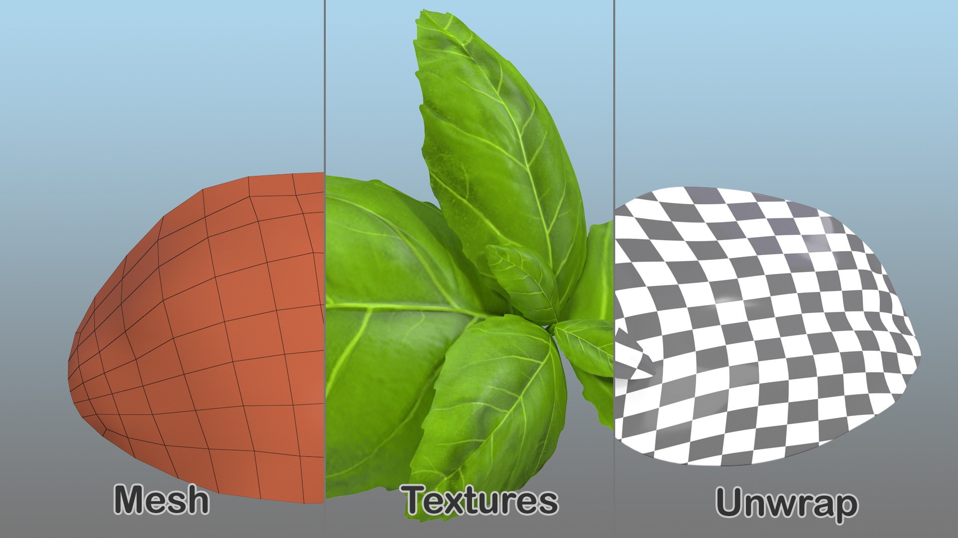 3D Salad Greens Collection 4 model https://p.turbosquid.com/ts-thumb/tV/HDUjp3/XJ/saladgreenscollection43dsmodel056/jpg/1660084438/1920x1080/fit_q87/62d539b5e1793add1d1caafb5cb0fa4dbb23dd09/saladgreenscollection43dsmodel056.jpg